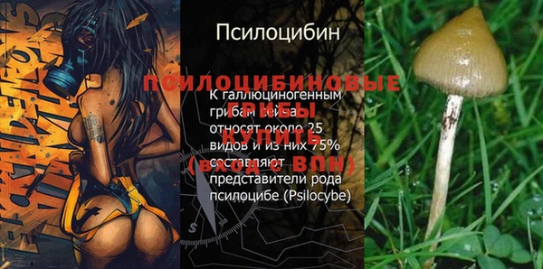гашиш Баксан