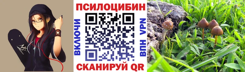 Псилоцибиновые грибы прущие грибы дарнет шоп omg ссылка Сибай